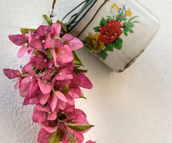 Sitio Dos Cavaleiros Daily Serviced